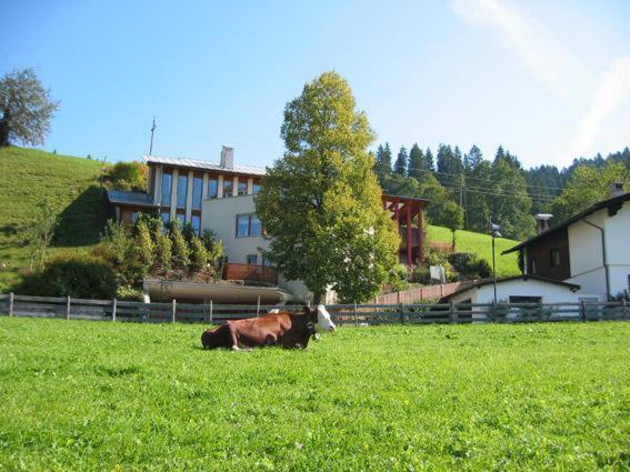 Studio 21A Hopfgarten im Brixental Eksteriør bilde